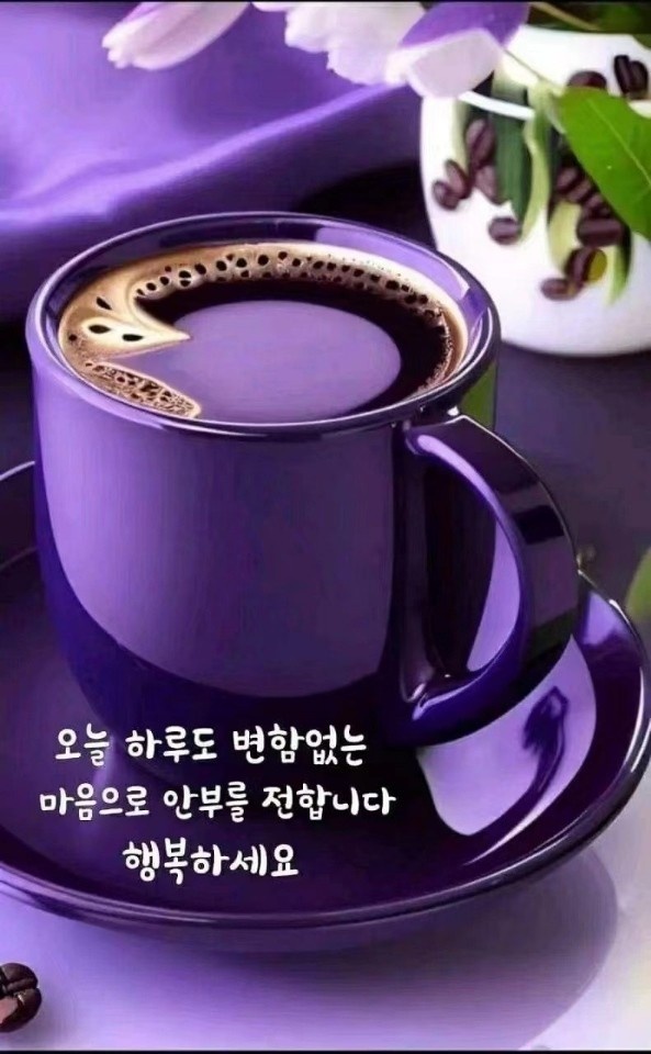 법무사 이미지
