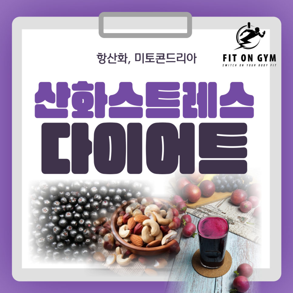 핏온짐 이미지