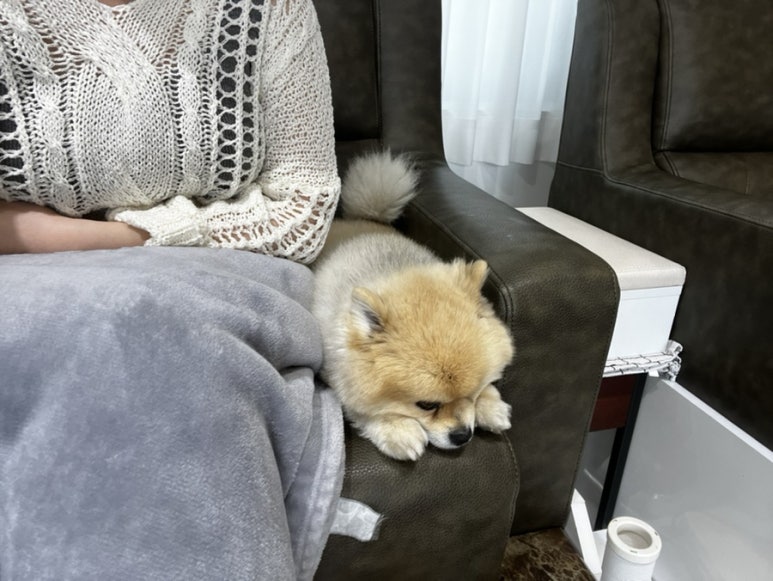바이민네일 이미지
