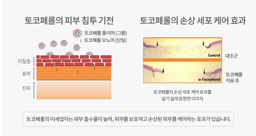 폰당폰당 이미지