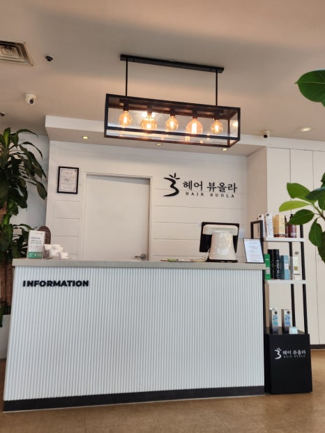 헤어뷰올라 이미지
