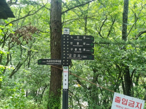 소금강메밀막국수 이미지