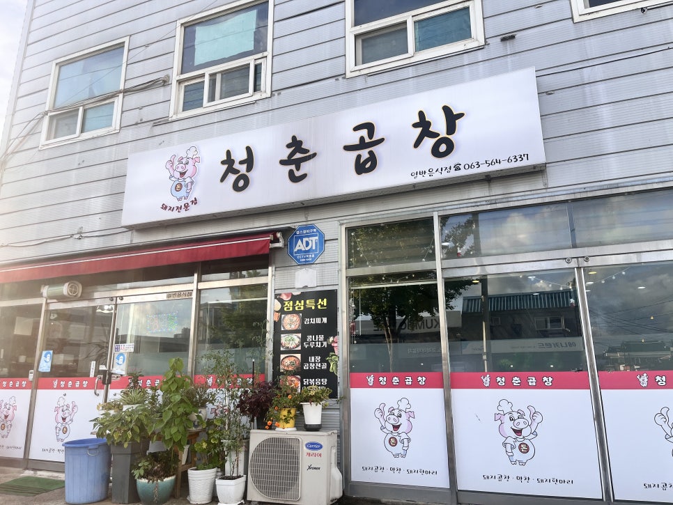 곱창의청춘 이미지