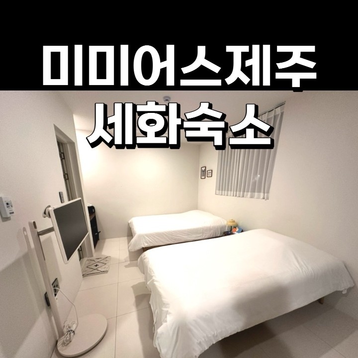 미미어스제주 이미지