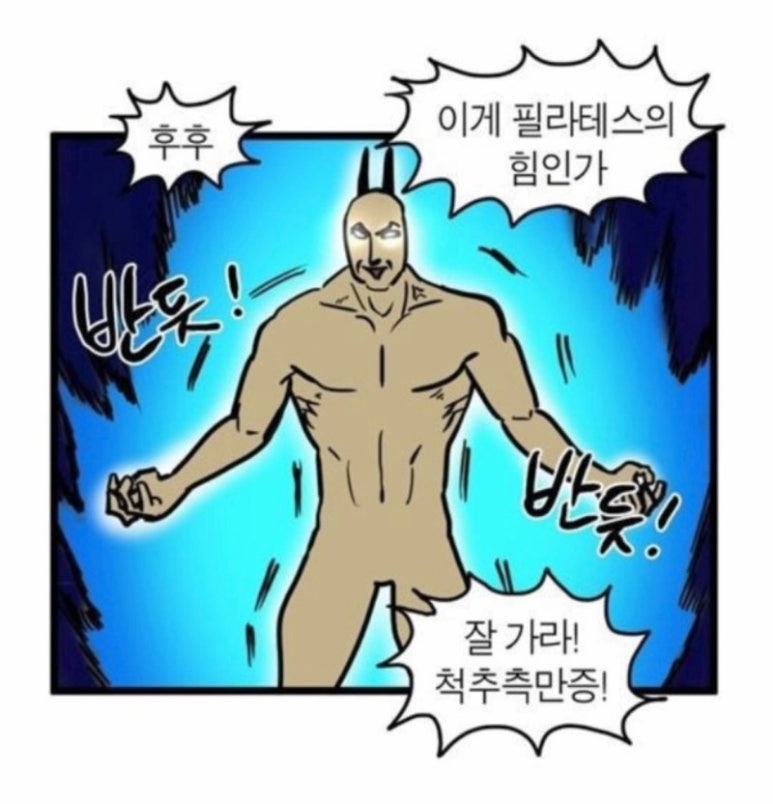 전신운동스트레칭 이미지