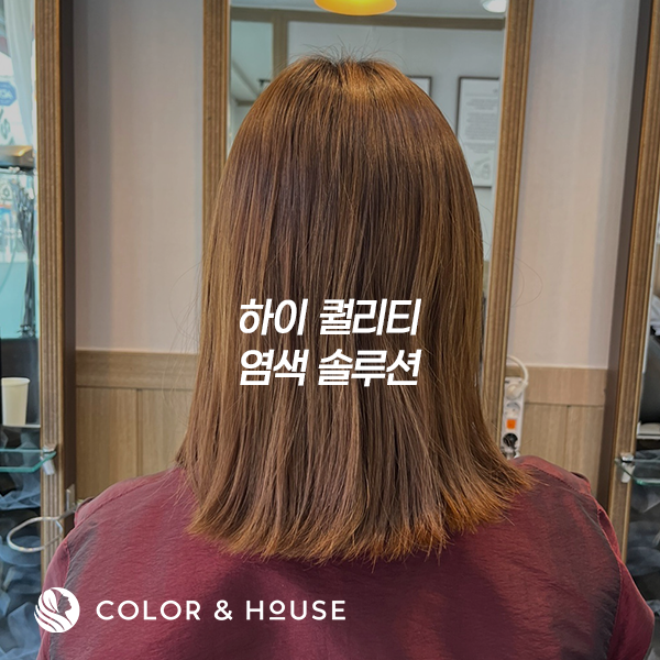 컬러앤하우스 부천소사점 이미지