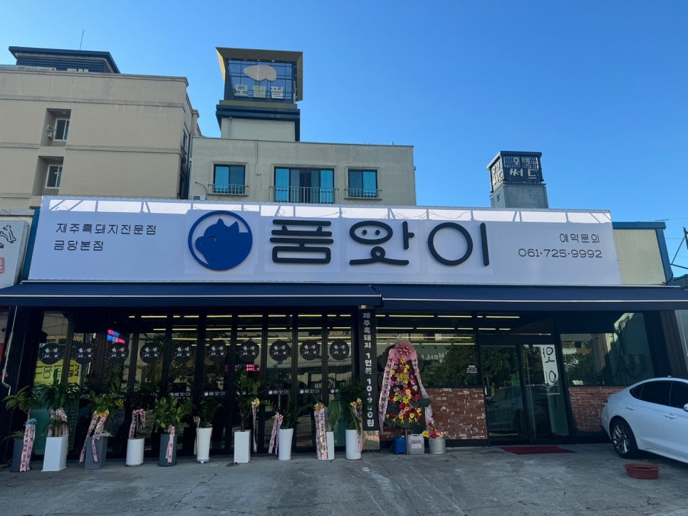 태풍흑돼지 이미지