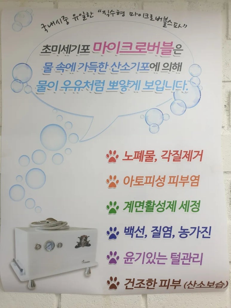 스완코코 이미지