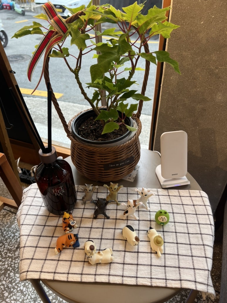 우연한 서점 이미지