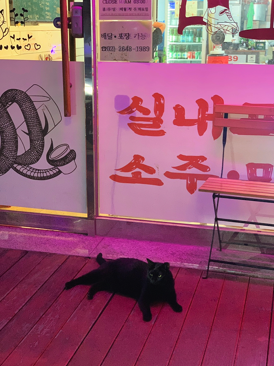 경담포차 이미지