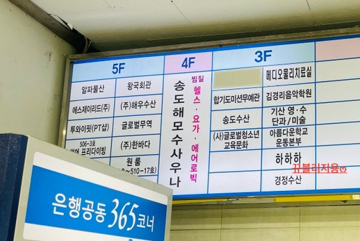스테이하하하 이미지
