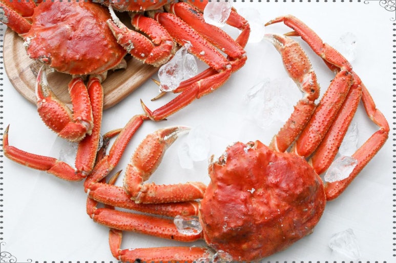 정훈식당 이미지