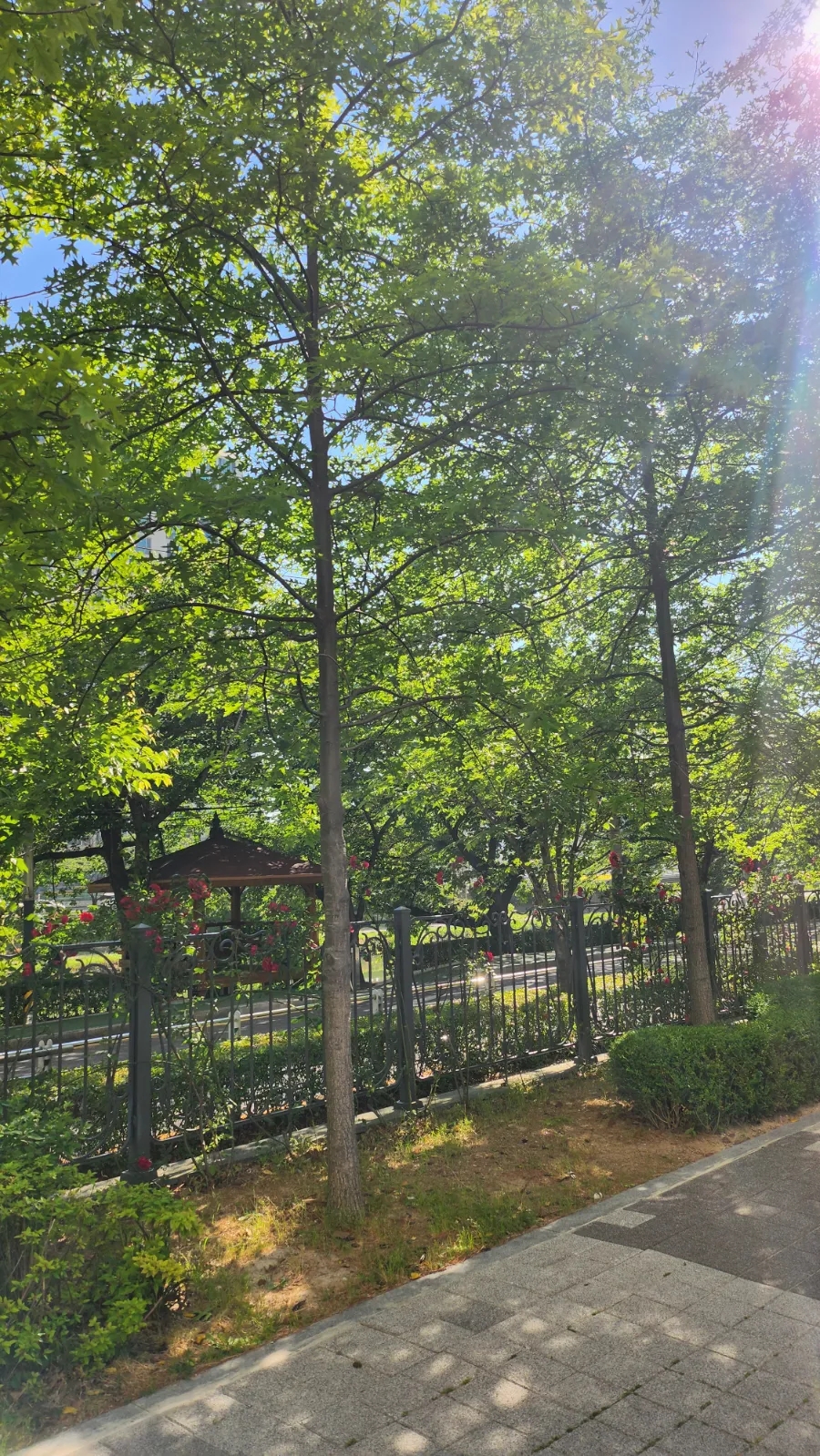 장원손칼국수 이미지