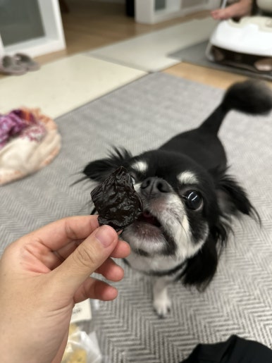 요니케이크 이미지