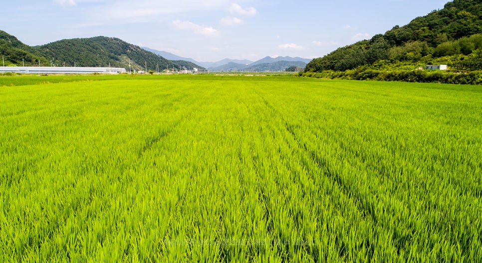 (주)충남유통 이미지