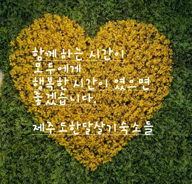 자올하우스 이미지