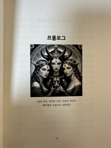 꽃마른 이미지