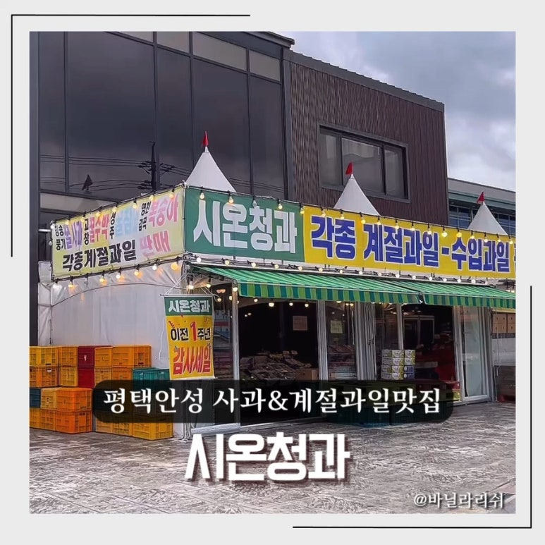 시온청과 이미지