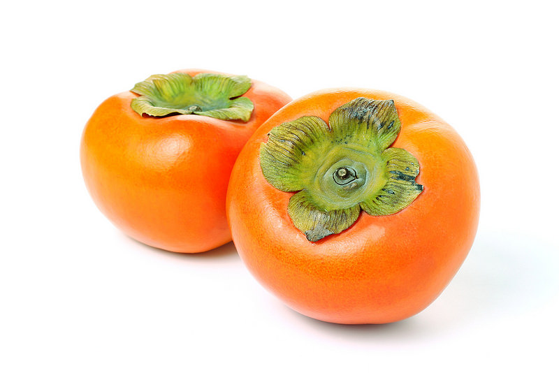 문짐 이미지