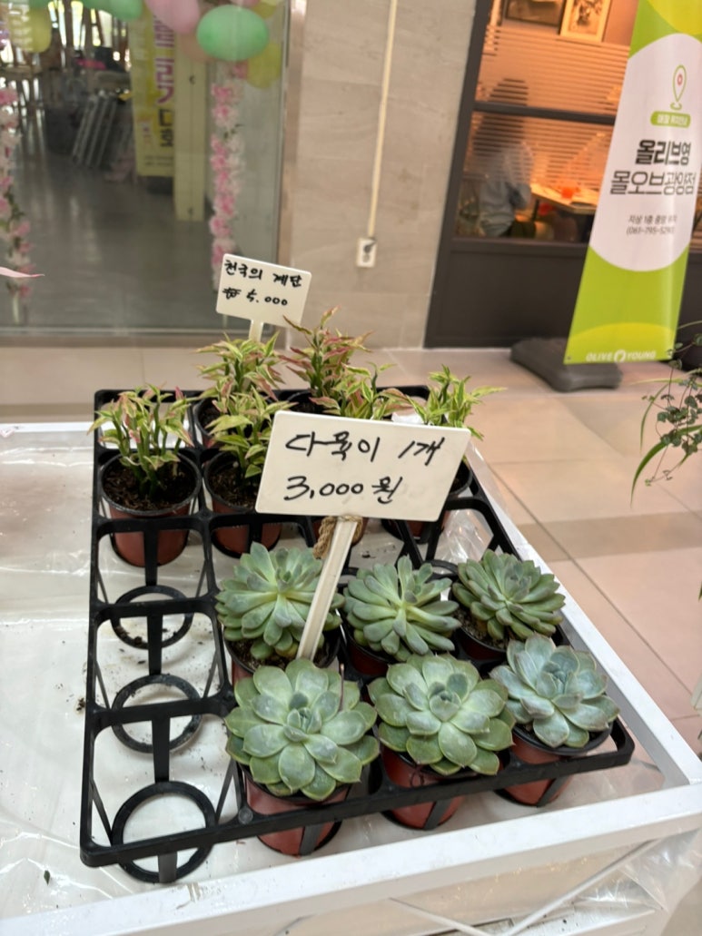 꽃수레화원 이미지