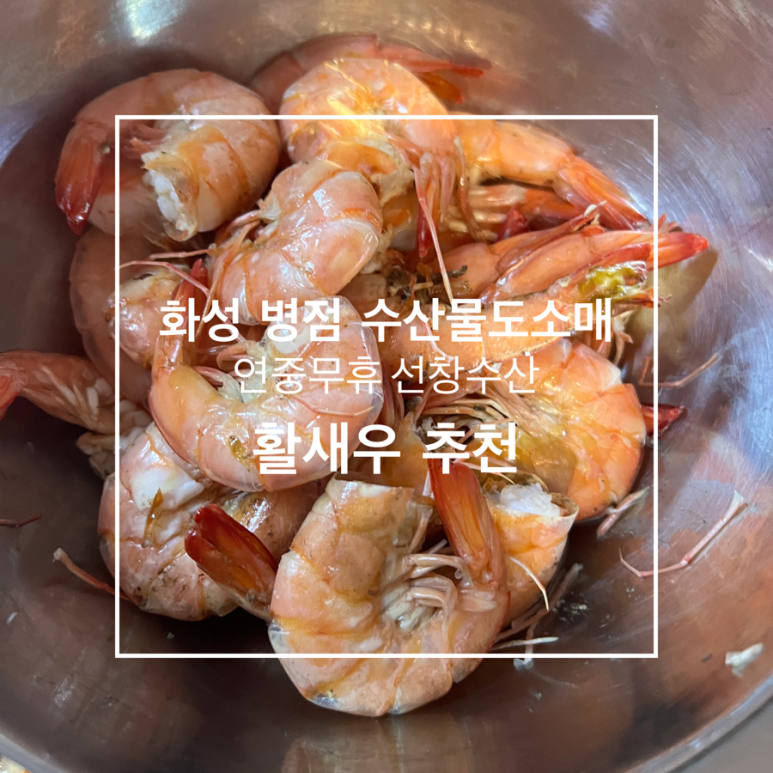 수산물도소매쎈터 이미지