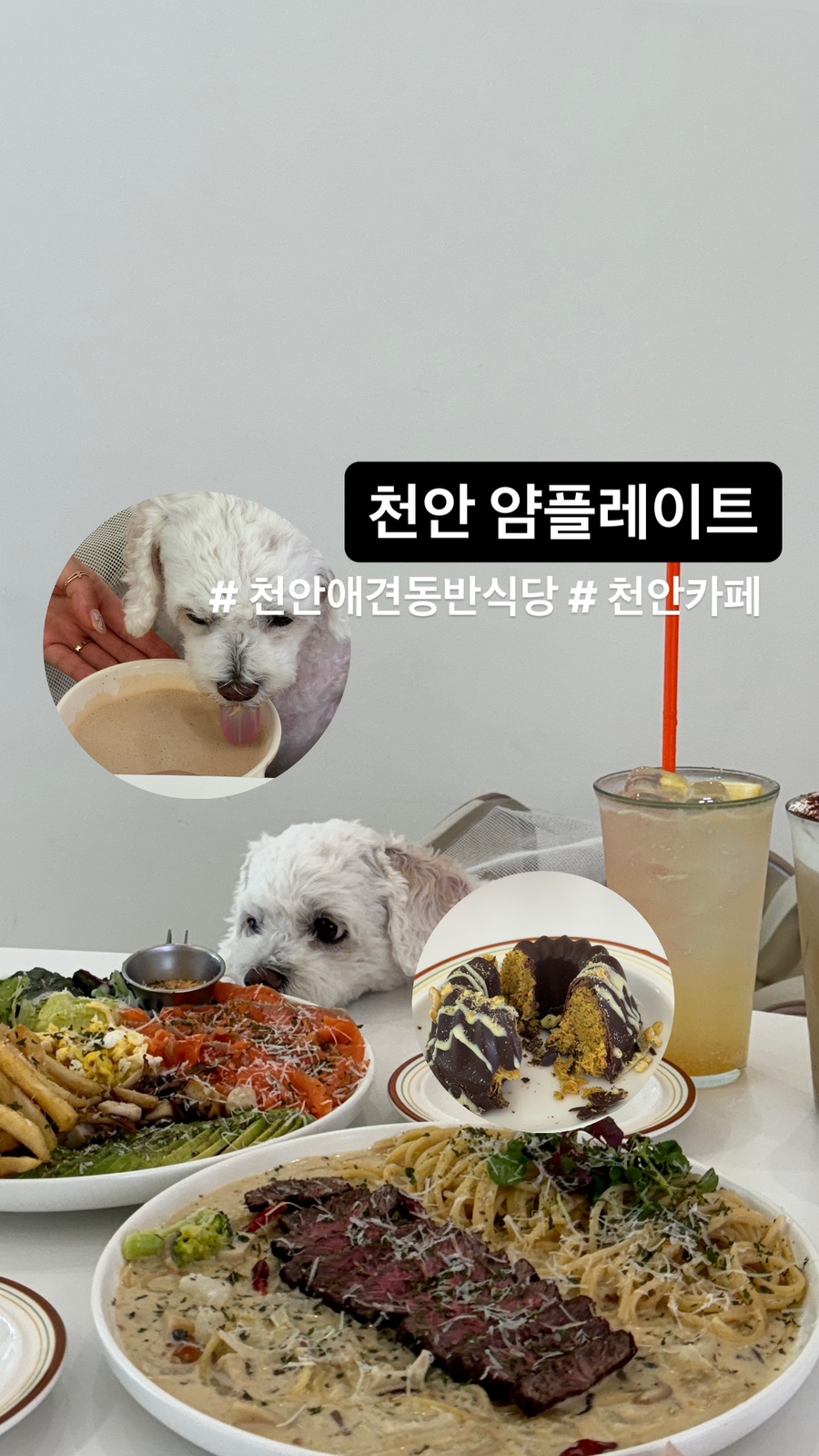 얌플레이트 이미지