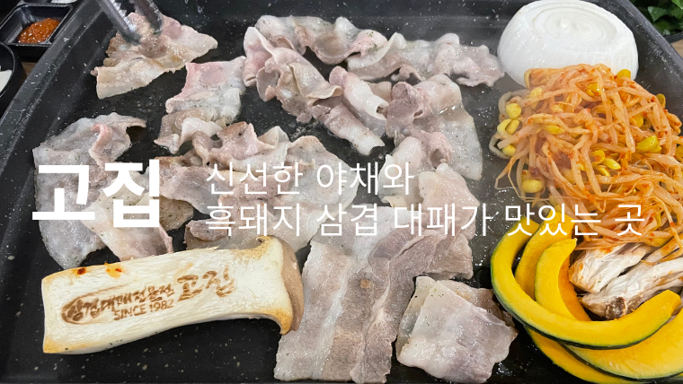 고집도계점 이미지