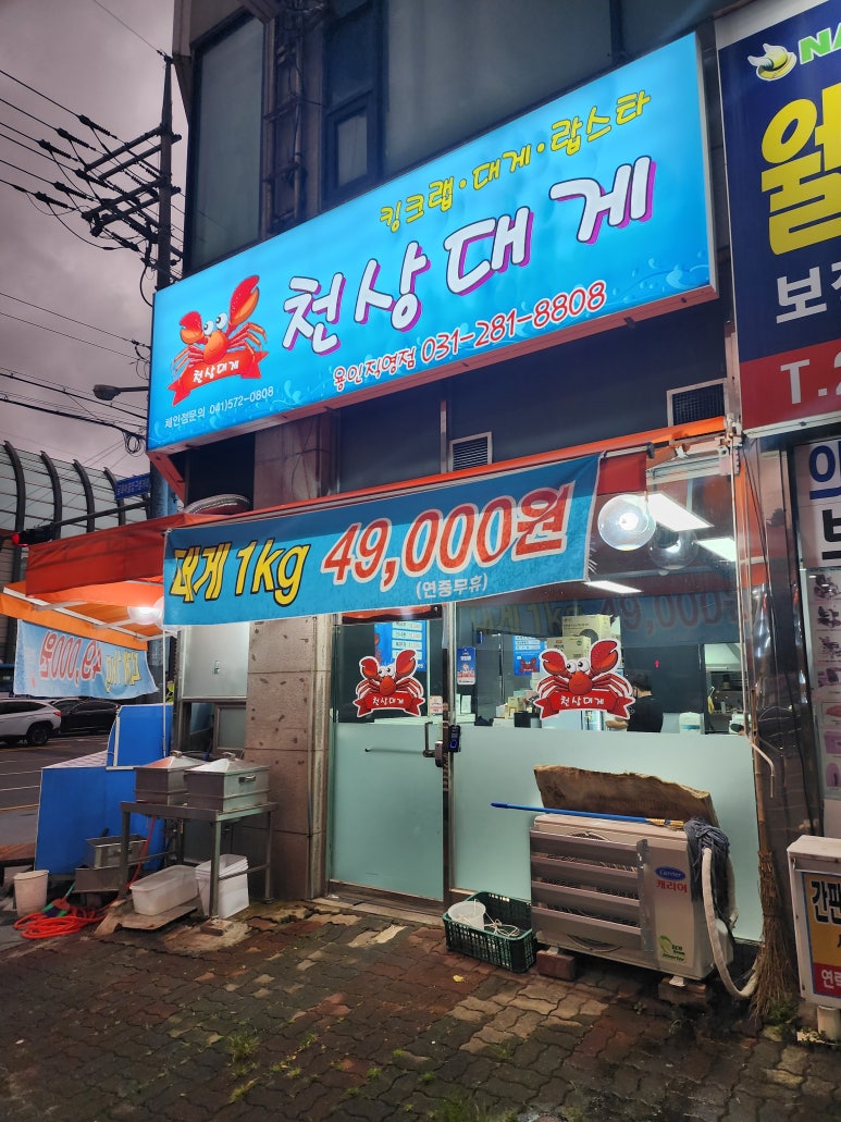 천상대게용인 이미지