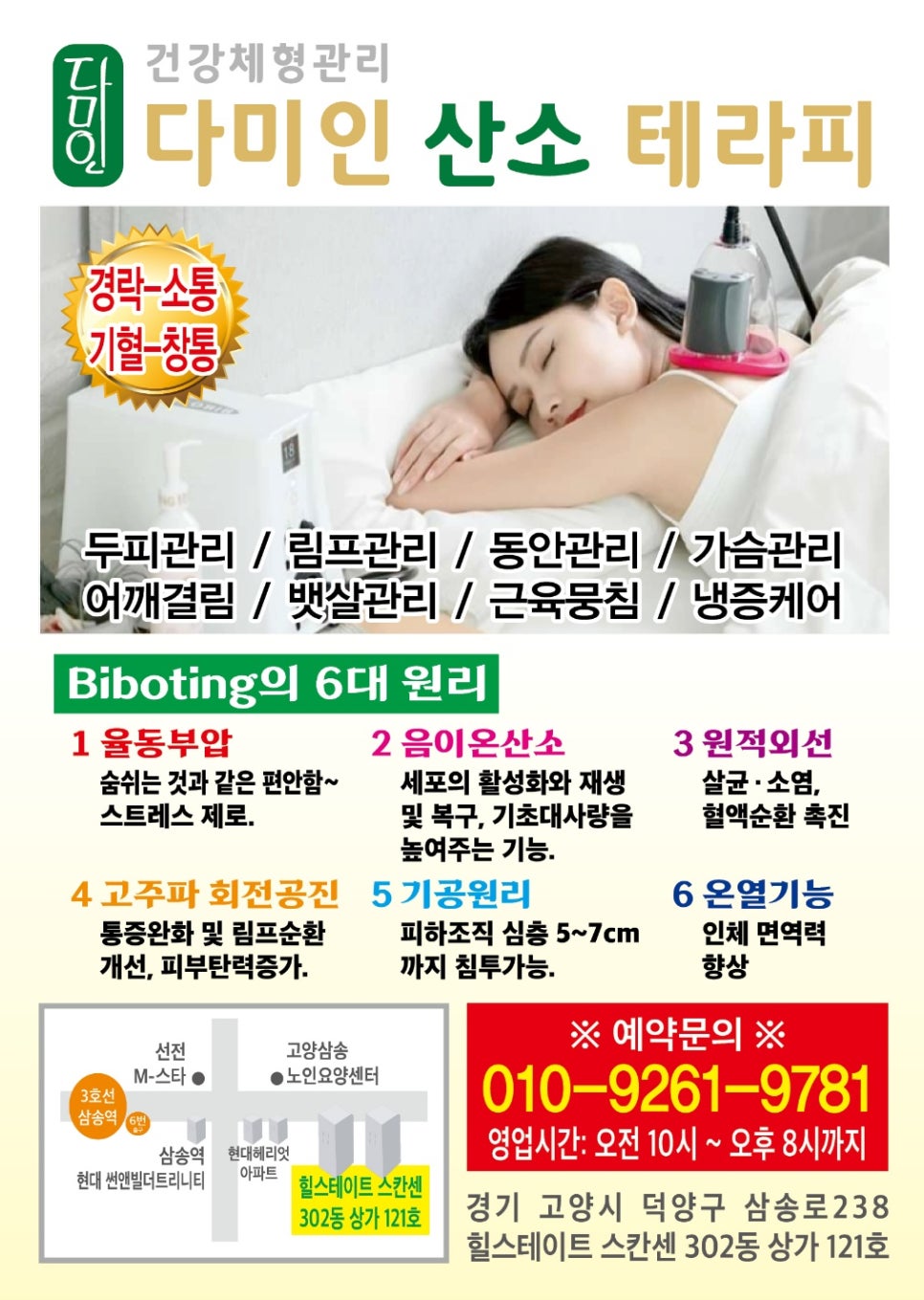다미인 이미지
