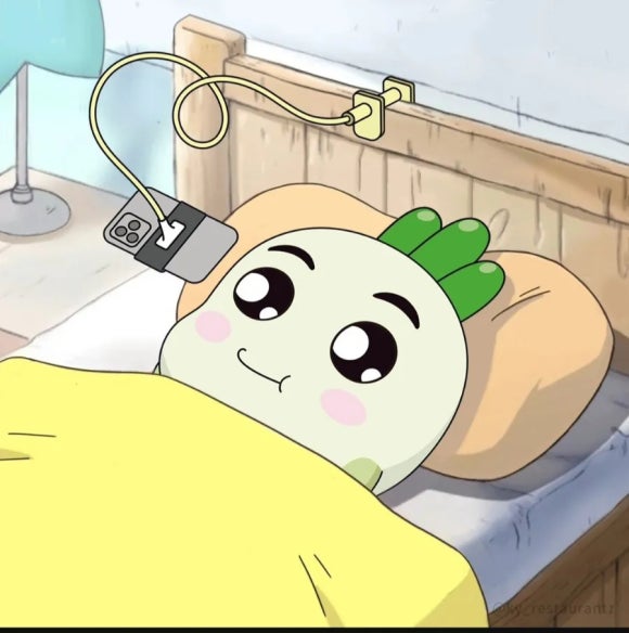 꼬꼬닭갈비 이미지