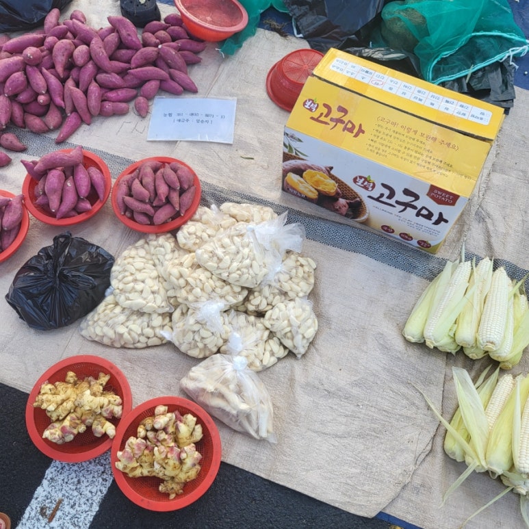 창주상회 이미지