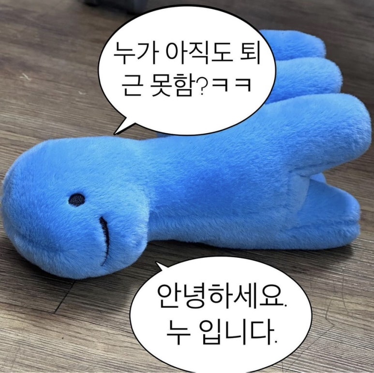 광양돼지 이미지