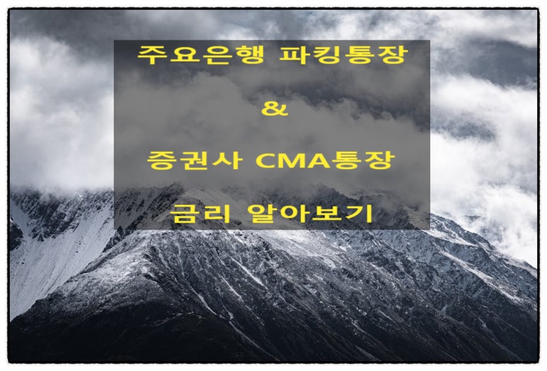 삐삐콩 이미지