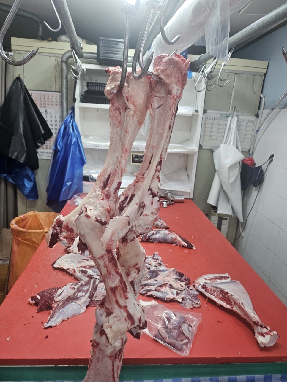 오케이펫미트 이미지