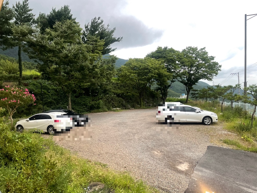 조가네갑오징어비슬산점 이미지