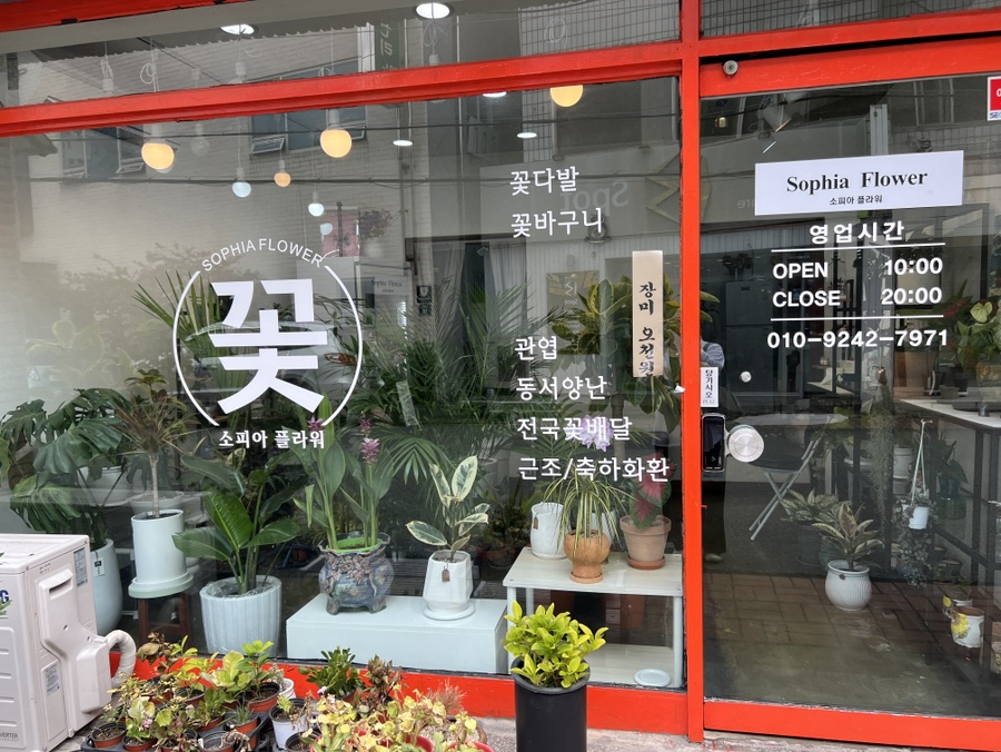 꽃집소피아 이미지