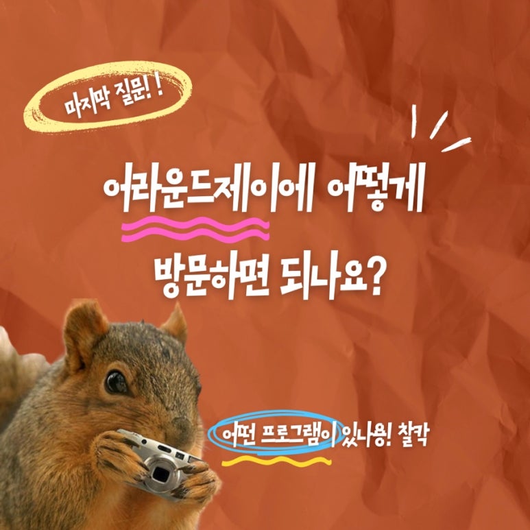 제이어라운드 이미지