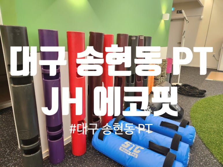 에코피티 이미지