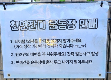 별똥구리 이미지