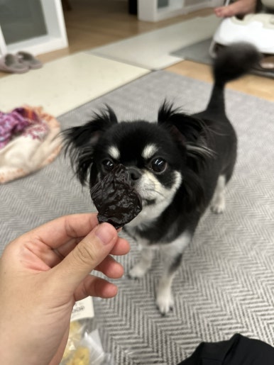 요니케이크 이미지