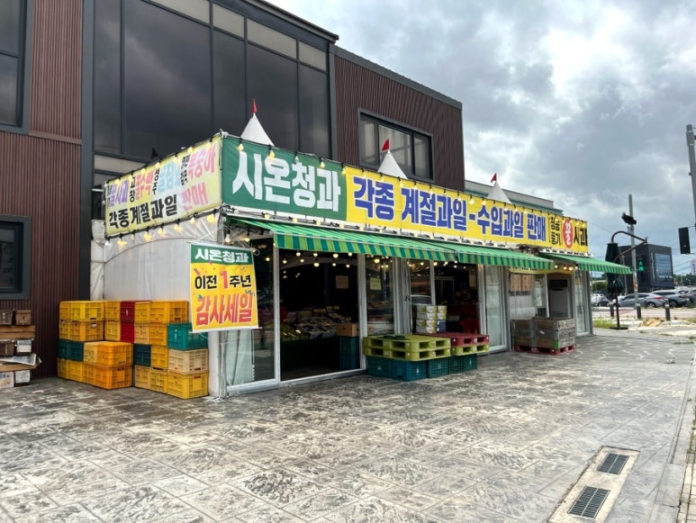 시온청과 이미지
