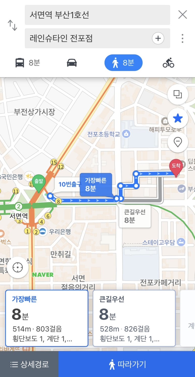 레인슈타인 이미지
