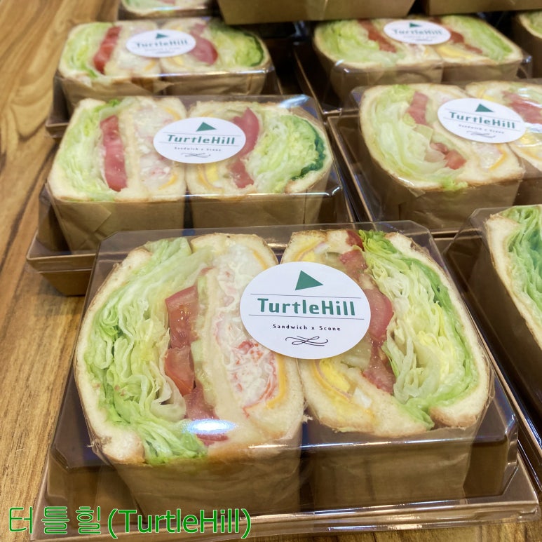 터틀힐 이미지
