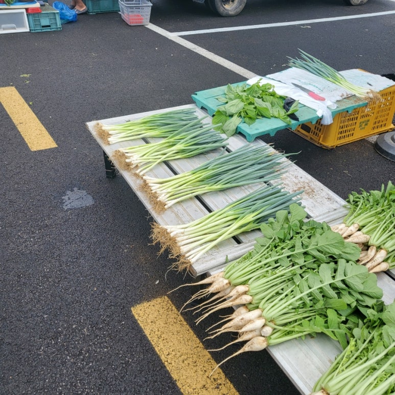 창주상회 이미지
