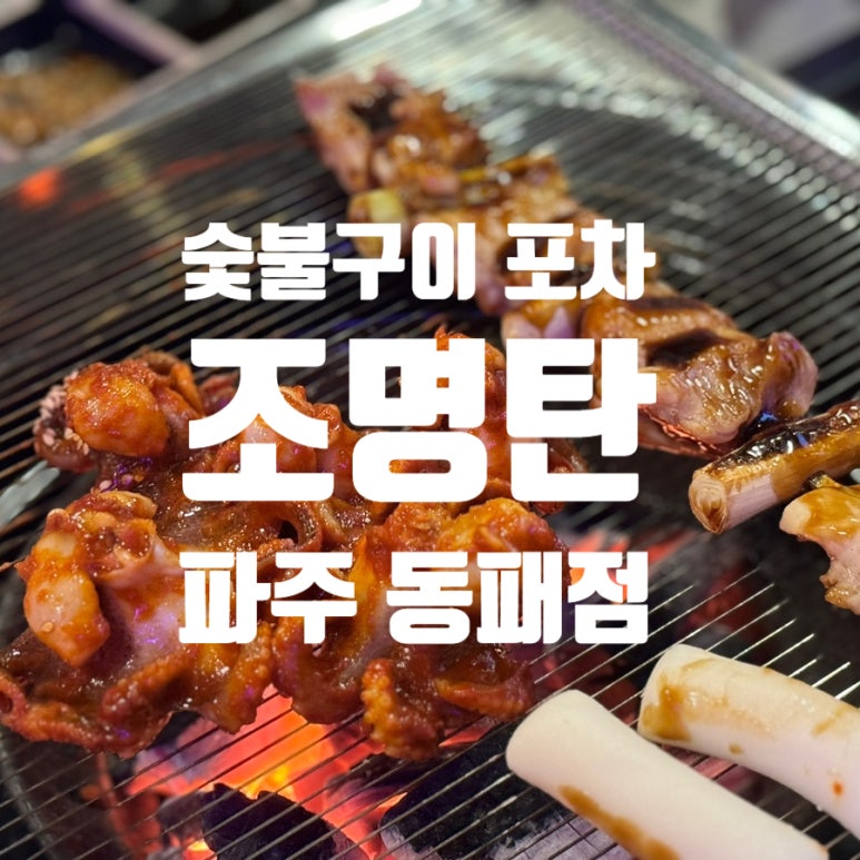 조명탄 파주동패점 이미지