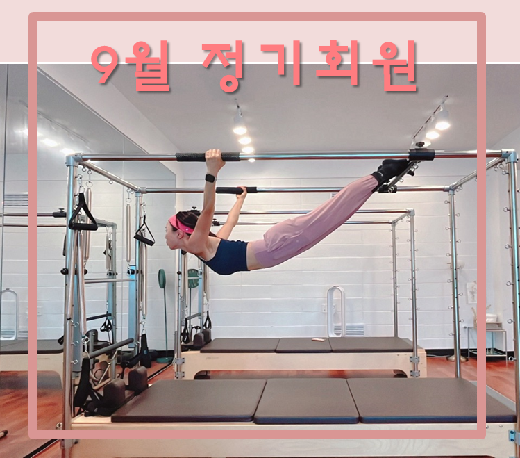 슈에뜨9 이미지