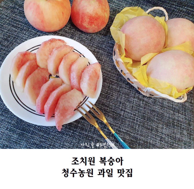 청수과일 이미지