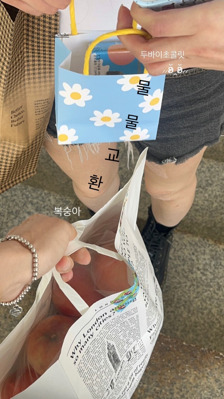 초콜릿헤어 이미지