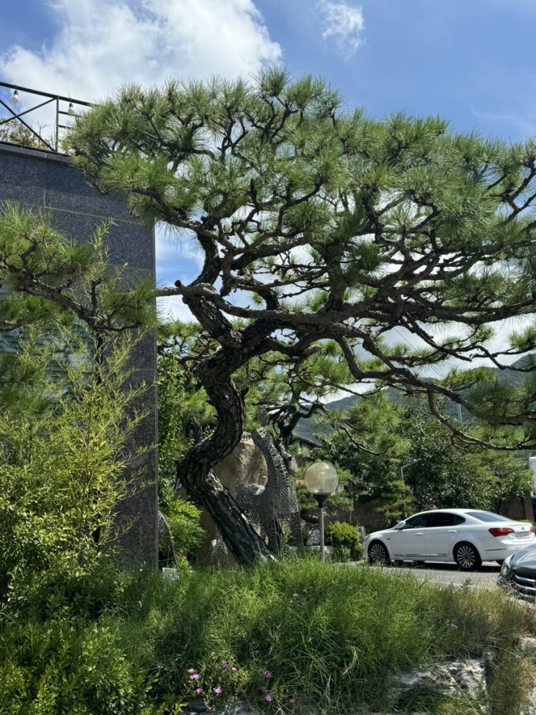 송원조경 이미지