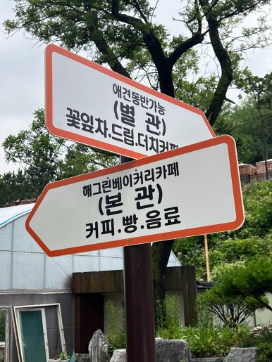 해그린 이미지